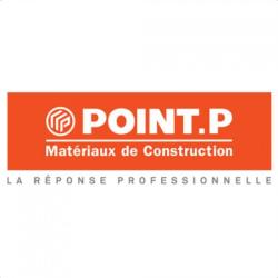 Point P
