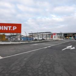 Point P