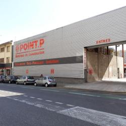 Point P