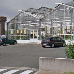 Point Vert