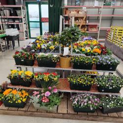 Cultivert Combourg