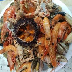 Poissonnerie Berckoise
