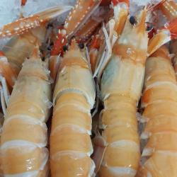 Poissonnerie Le Bigorre No