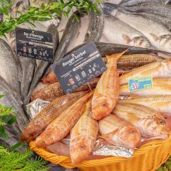 Poissonnerie Domain Et Fils