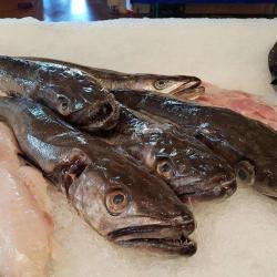 Poissonnerie Lhospital