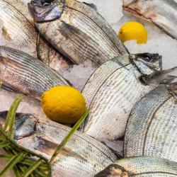 Poissonnerie Maison Troadec