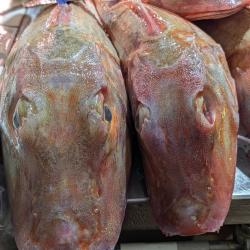 Poissonnerie Tardy Frédéric