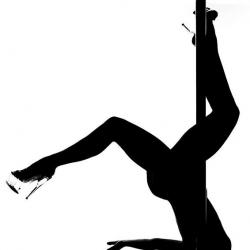 Pole Dance Lyon & Fitness