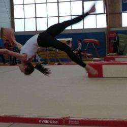 Pole France Gymnastique