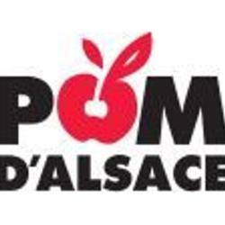 Pom D'alsace