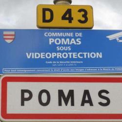 Pomas