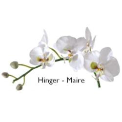 Pompes Funèbres Hinger