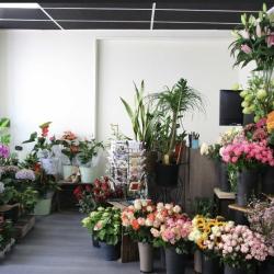 Pompes Funèbres Maison Hédou