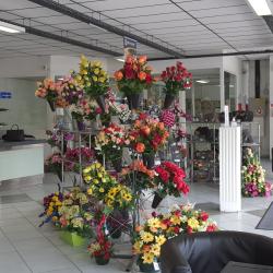 Pompes Funèbres Roc Eclerc Chelles