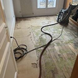 Poncage Parquet Vitrification Francois