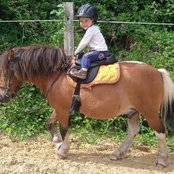 Poney Club : Les Poneys Des Brumes