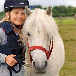 Poney Club Brimborion