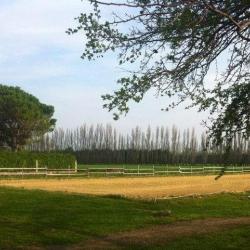 Poney Club D Avignon
