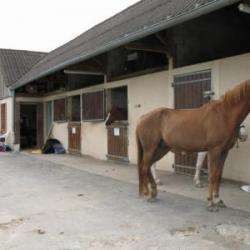 Poney Club De Cesson