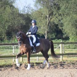 Poney Club De Coatelan