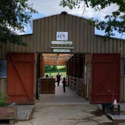 Poney Club De L Esperance