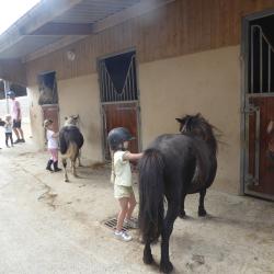 Poney Club De L'ile A Bois