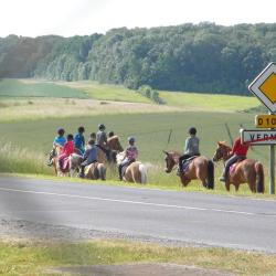Poney Club De L Oppidum