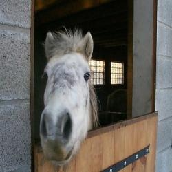 Poney Club De Marck