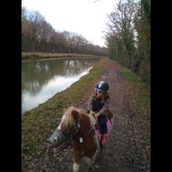 Poney Club Des Rhodos