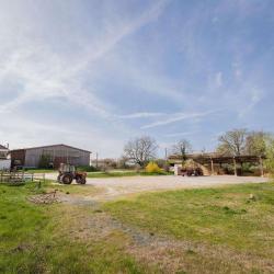 Poney Club Du Findez