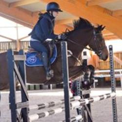 Poney Club Du Poher