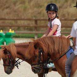 Poney Club Du Port Aux Cerises