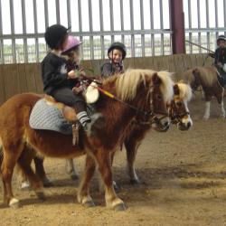 Poney Club Du Renouveau