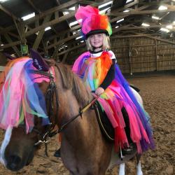 Poney Club Du Vieil Orme