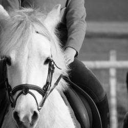 Poney Club L'oxer