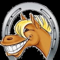 Poney Pour Tous