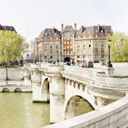 Pont Neuf