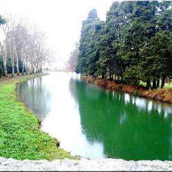 Pont