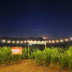 Pop Corn Labyrinthe Clermont-ferrand