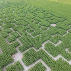 Pop Corn Labyrinthe Angresse - Labyrinthe Géant