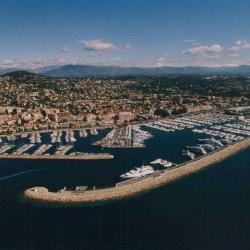 Port Camille Rayon