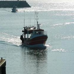 Port Chef De Baie A La Rochelle