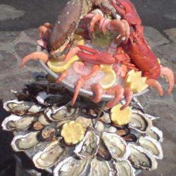 Porto Pollo