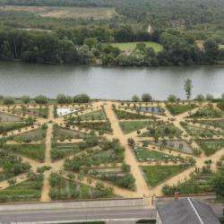 Jardin Potager-fruitier Du Château
