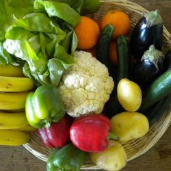 Potager76