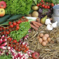 Potager76coop