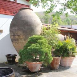 Poterie Goicoechea