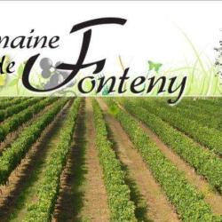 Poupart - Domaine De Fonteny