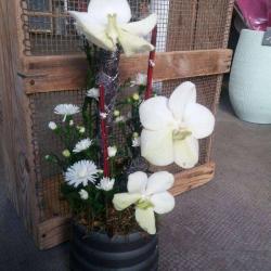Pour Un Fleur't