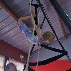 Pousses De Cirque